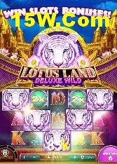 Apostas de Tênis 85k